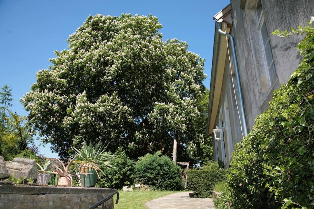 Haus Keppelborg: Zi Ferdinand Mit Rosengartenblick Heek Exteriér fotografie